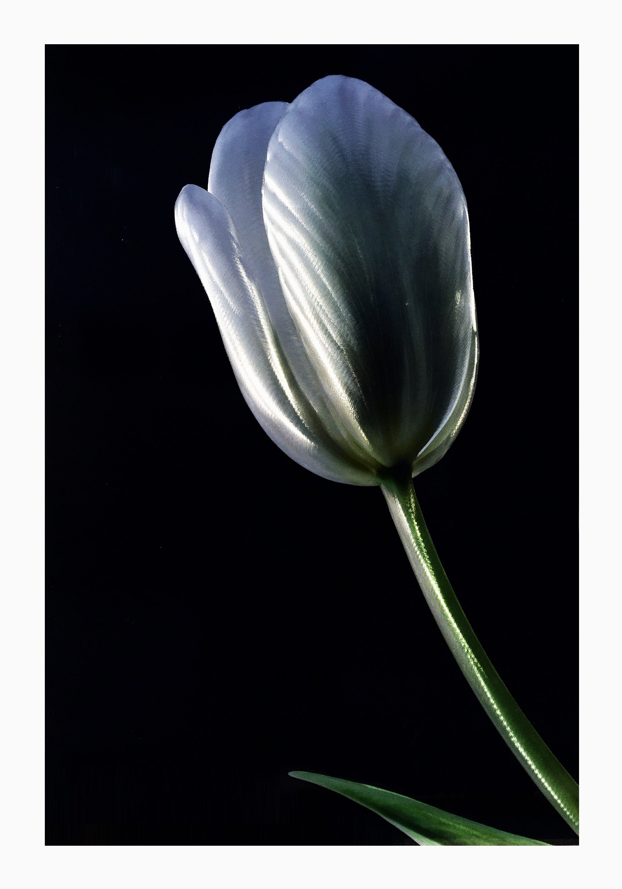 Simplicity Aluminium Wall Art 90x60 90x60 cm