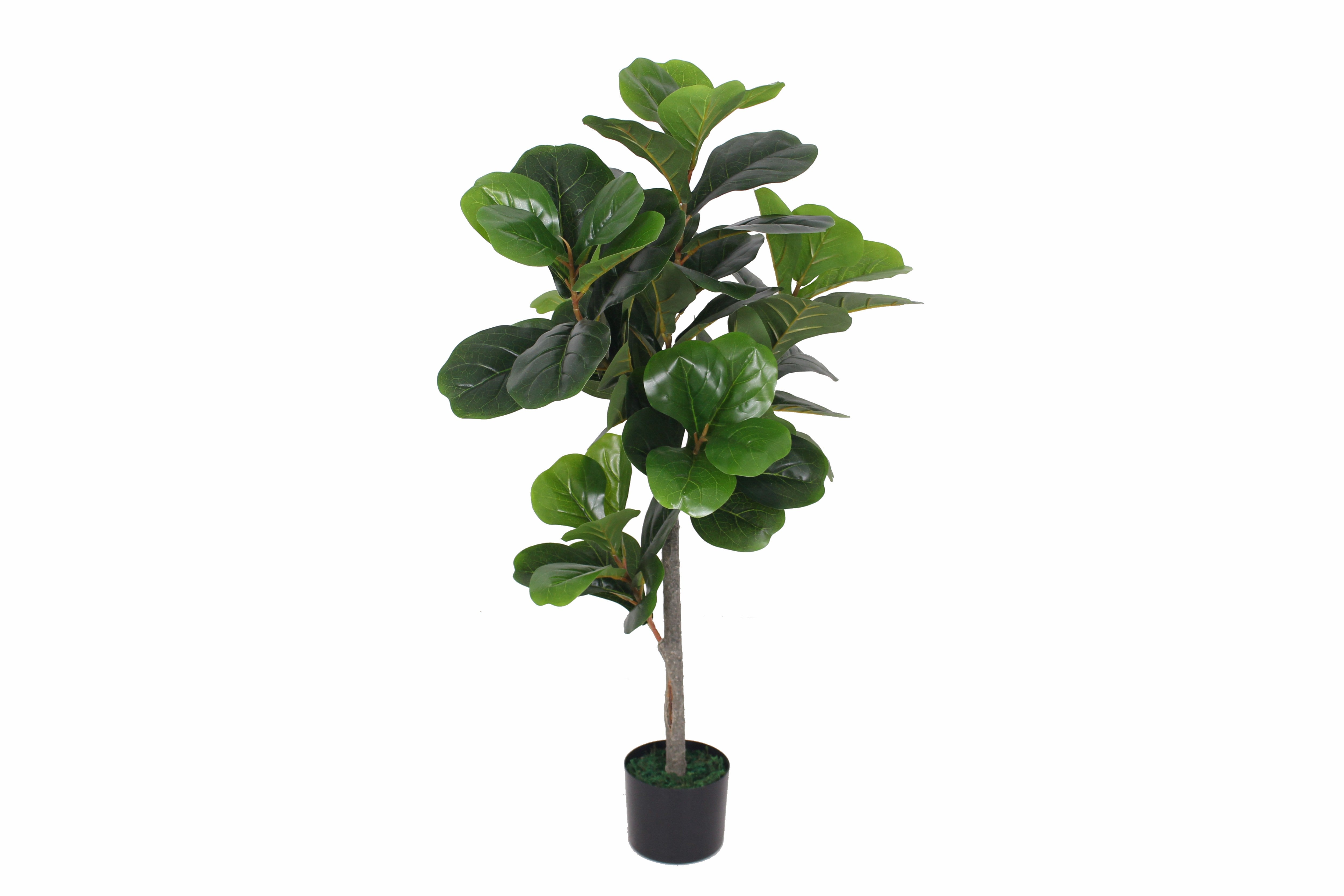Fiddle Leaf Tree 110 cm 110 cm
