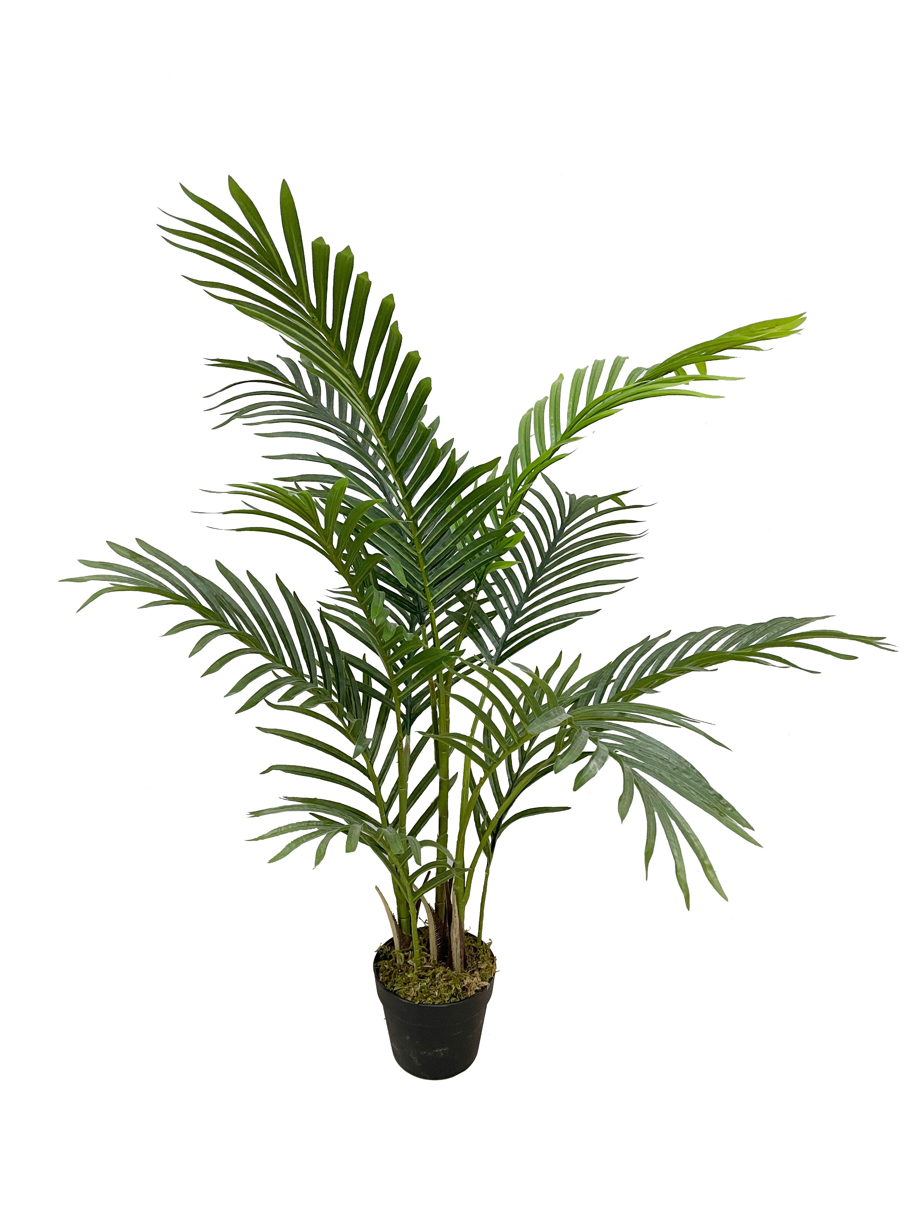 Mini Palm 48cm 48 cm