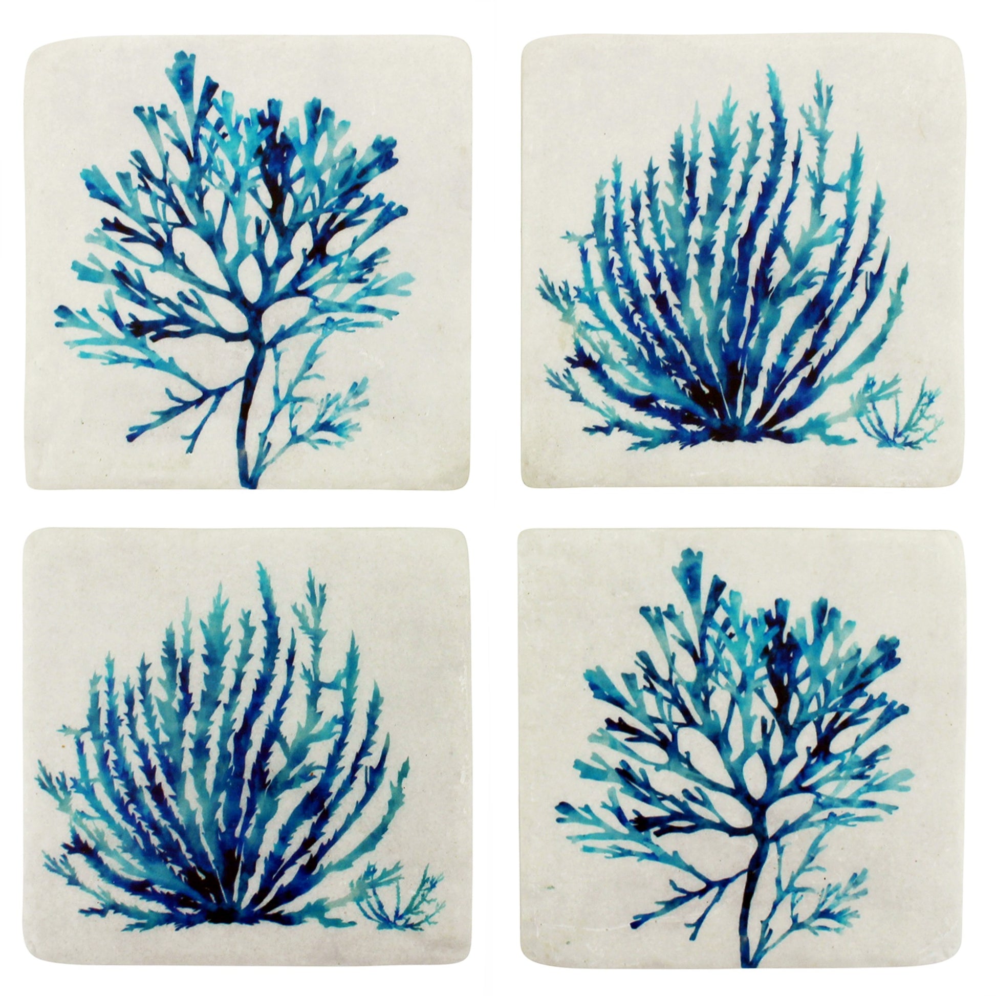 S/4 Sara Coral Resin Coasters 10x10cm 10x10 cm