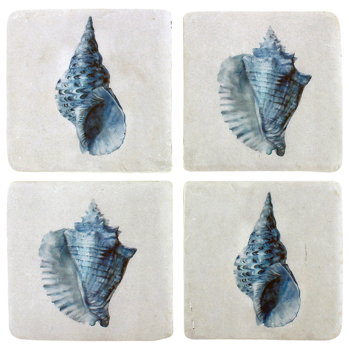 Shell Rim Coasters S/4 Shell Resin Coasters 10x10cm – Limited Edition