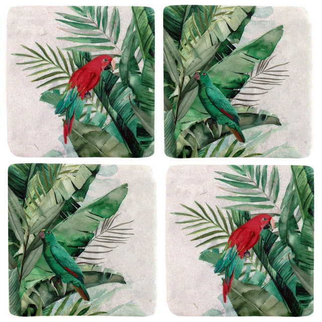 S/4 Jungle Parrot Resin Coasters 10x10cm 10x10 cm